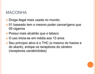 MACONHA
 Droga ilegal mais usada no mundo;
 01 baseado tem o mesmo poder cancerígeno que
  05 cigarros
 Possui mais alcatrão que o tabaco

 O uso inicia-se em média aos 13 anos

 Seu principio ativo é o THC (o mesmo do haxixe e
  do skank), entope os receptores do cérebro
  (receptores canabinóides)
 