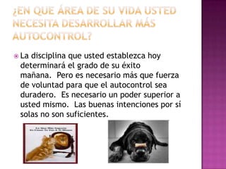 ¿En que área de su vida usted necesita desarrollar más autocontrol?  La disciplina que usted establezca hoy determinará el grado de su éxito mañana.  Pero es necesario más que fuerza de voluntad para que el autocontrol sea duradero.  Es necesario un poder superior a usted mismo.  Las buenas intenciones por sí solas no son suficientes. 
