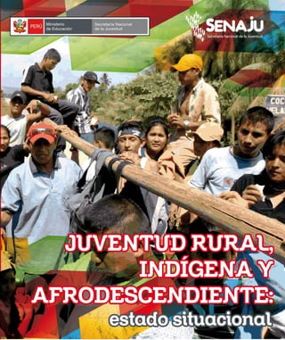 Juventud rural indigena y afrodescendiente   estado situacional