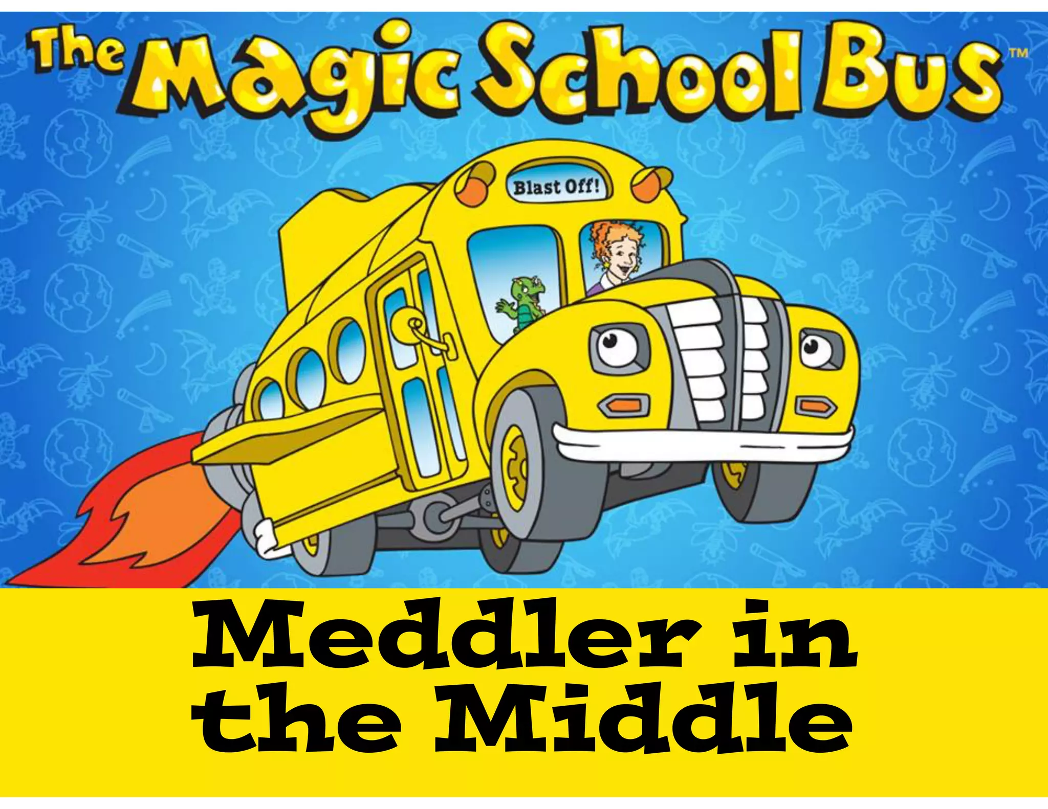 Meddler in
the Middle
 