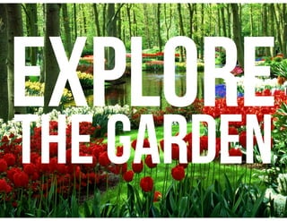 EXPLORE
THE GARDEN
 