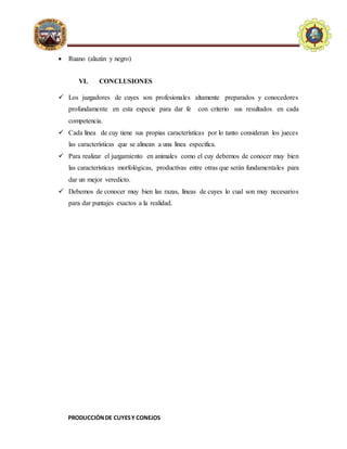 PRODUCCIÓNDE CUYESY CONEJOS
E.A.P. DE ZOOTECNIA
UNIVERSIDADNACIONALDE
HUANCAVELICA - FACULTAD
D
ECIENCIASDEINGENIERIA
 Ruano (alazán y negro)
VI. CONCLUSIONES
 Los juzgadores de cuyes son profesionales altamente preparados y conocedores
profundamente en esta especie para dar fe con criterio sus resultados en cada
competencia.
 Cada línea de cuy tiene sus propias características por lo tanto consideran los jueces
las características que se alinean a una línea especifica.
 Para realizar el juzgamiento en animales como el cuy debemos de conocer muy bien
las características morfológicas, productivas entre otras que serán fundamentales para
dar un mejor veredicto.
 Debemos de conocer muy bien las razas, líneas de cuyes lo cual son muy necesarios
para dar puntajes exactos a la realidad.
 