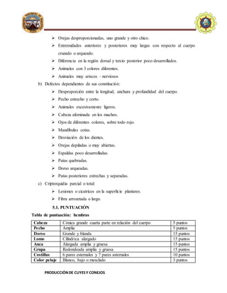 PRODUCCIÓNDE CUYESY CONEJOS
E.A.P. DE ZOOTECNIA
UNIVERSIDADNACIONALDE
HUANCAVELICA - FACULTAD
D
ECIENCIASDEINGENIERIA
 Orejas desproporcionadas, uno grande y otro chico.
 Extremidades anteriores y posteriores muy largas con respecto al cuerpo
cruzado o arqueado.
 Diferencia en la región dorsal y tercio posterior poco desarrollados.
 Animales con 3 colores diferentes.
 Animales muy ariscos – nerviosos
b) Defectos dependientes de sus constitución:
 Desproporción entre la longitud, anchura y profundidad del cuerpo.
 Pecho estrecho y corto.
 Animales excesivamente ligeros.
 Cabeza afeminada en los machos.
 Ojos de diferentes colores, sobre todo rojo.
 Mandíbulas cotas.
 Desviación de los dientes.
 Orejas depiladas o muy abiertas.
 Espaldas poco desarrolladas.
 Patas quebradas.
 Dorso arqueadas.
 Patas posteriores estrechas y separadas.
c) Criptorquidia parcial o total:
 Lesiones o cicatrices en la superficie plantares.
 Fibra arrozetada o largo.
5.1. PUNTUACIÓN
Tabla de puntuación: hembras
Cabeza Cónica grande cuarta parte en relación del cuerpo 5 puntos
Pecho Amplia 5 puntos
Dorso Grande y blanda 15 puntos
Lomo Cilíndrica alargado 15 puntos
Anca Alargada amplia y gruesa 15 puntos
Grupa Redondeada amplia y gruesa 15 puntos
Costillas 6 pares esternales y 7 pares asternales 10 puntos
Color pelaje Blanco, bajo o mesclado 3 puntos
 