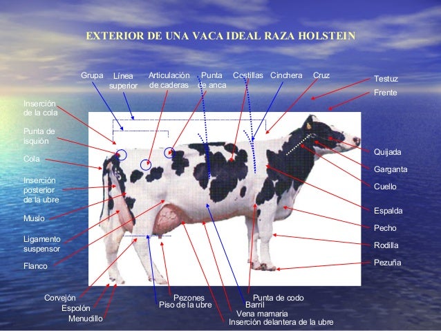 Juzgamiento corregido 2013