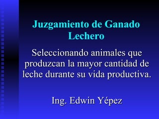 Juzgamiento de Ganado Lechero Seleccionando animales que produzcan la mayor cantidad de leche durante su vida productiva. Ing. Edwin Yépez 