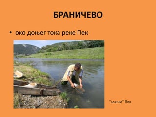 БРАНИЧЕВО
• око доњег тока реке Пек
‘’златни’’ Пек
 