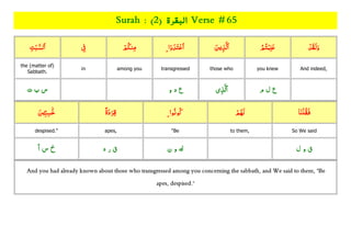 Quran Juzz/Para 01 with topics ,rukkus ,word by word with root Slide 134