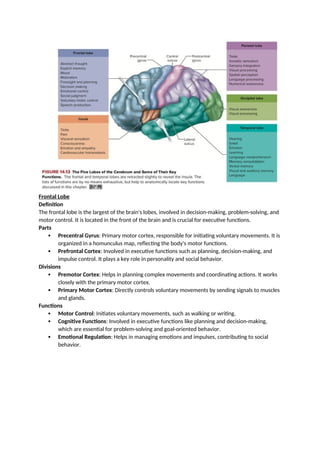 Homunculus Problem PGDEI Neurobiology - paper 1 NEUROBIOLOGY | PDF