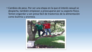 • Cambios de peso. Por ser una etapa en la que el interés sexual se
despierta, también empiezan a preocuparse por su aspecto físico.
Temen engordar y son presa fácil de trastornos de la alimentación
como bulimia y anorexia.
 