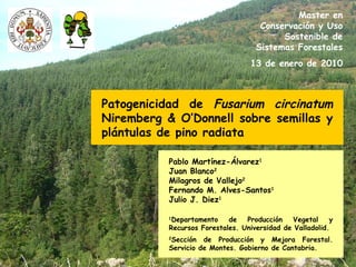 Patogenicidad de  Fusarium circinatum  Niremberg & O’Donnell sobre semillas y plántulas de pino radiata Pablo Martínez-Álvarez 1 Juan Blanco 2 Milagros de Vallejo 2 Fernando M. Alves-Santos 1 Julio J. Diez 1 1 Departamento de Producción Vegetal y Recursos Forestales. Universidad de Valladolid. 2 Sección de Producción y Mejora Forestal. Servicio de Montes. Gobierno de Cantabria. Master en Conservación y Uso Sostenible de Sistemas Forestales 13 de enero de 2010 