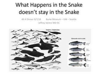 What Happens in the Snake
doesn’t stay in the Snake
Alt 4 Dinner 9/7/18 Burke Museum – UW – Seattle
Jeffrey Ventre MD DC
 