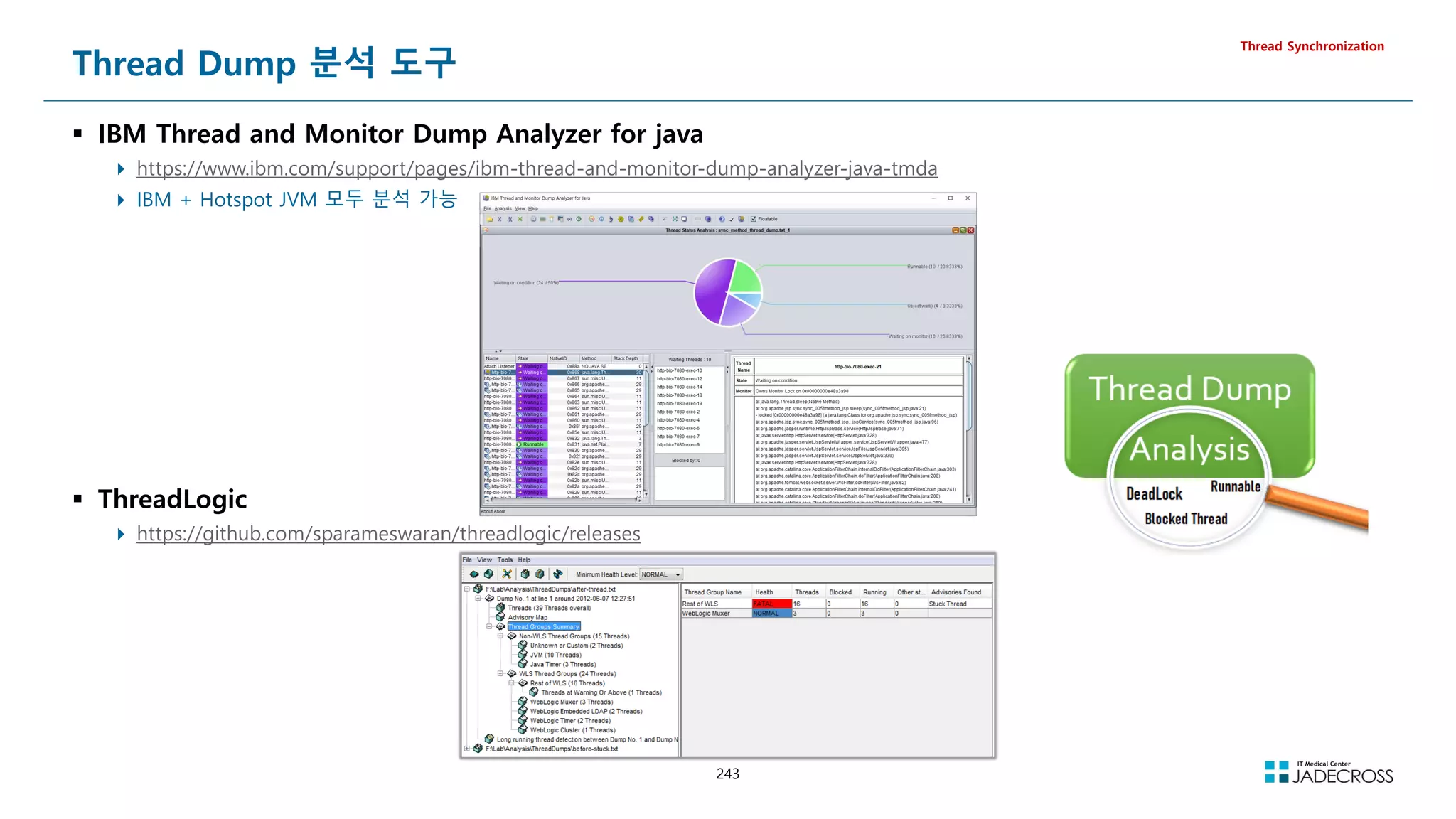 243
Thread Dump 분석 도구
 IBM Thread and Monitor Dump Analyzer for java
 https://www.ibm.com/support/pages/ibm-thread-and-monitor-dump-analyzer-java-tmda
 IBM + Hotspot JVM 모두 분석 가능
Thread Synchronization
 ThreadLogic
 https://github.com/sparameswaran/threadlogic/releases
 