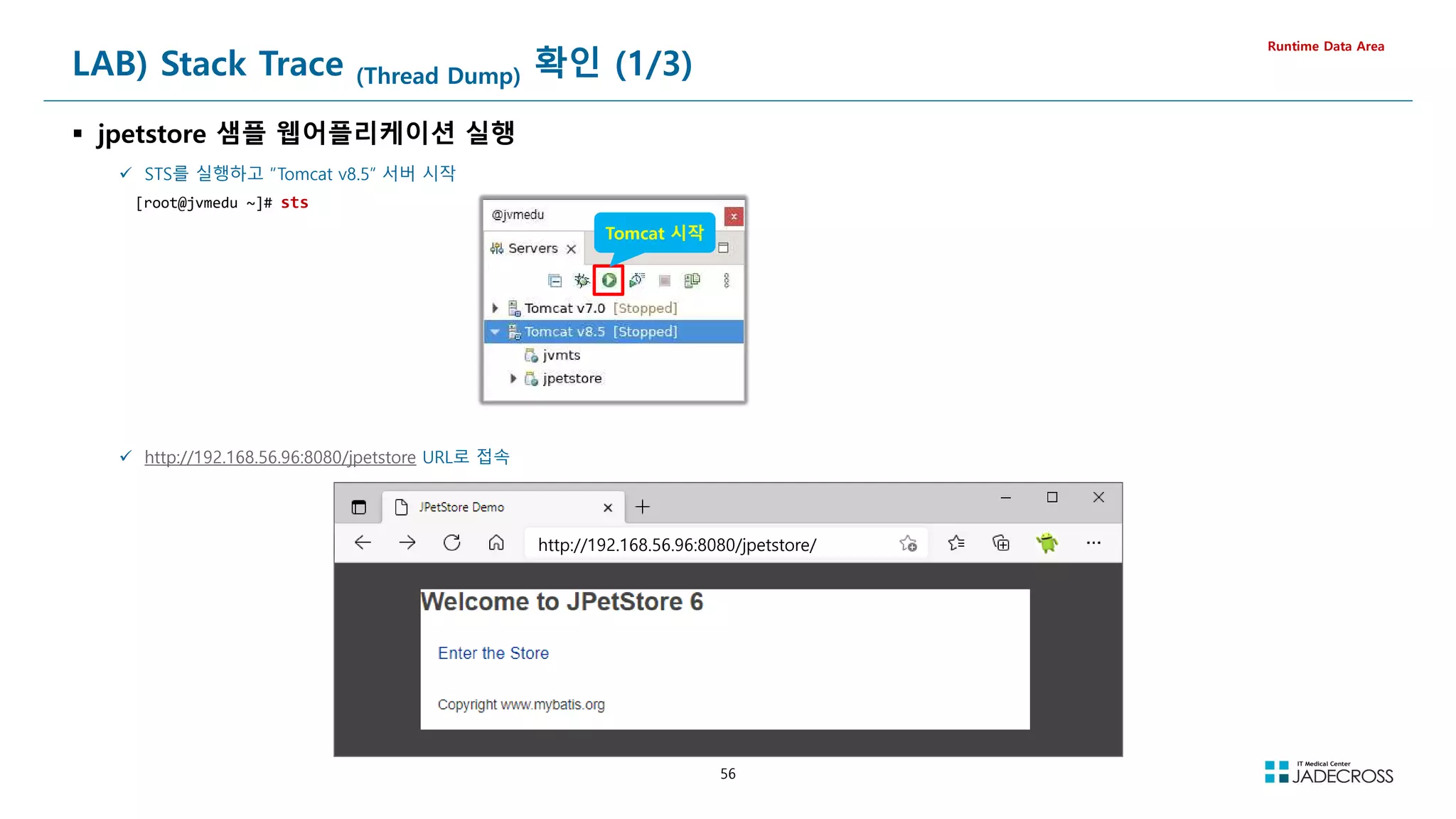 56
LAB) Stack Trace (Thread Dump) 확인 (1/3)
 jpetstore 샘플 웹어플리케이션 실행
Runtime Data Area
 STS를 실행하고 “Tomcat v8.5” 서버 시작
[root@jvmedu ~]# sts
 http://192.168.56.96:8080/jpetstore URL로 접속
Tomcat 시작
http://192.168.56.96:8080/jpetstore/
 