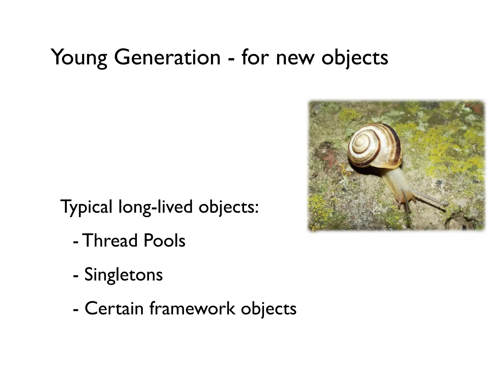 Young Generation - for new objects
!
!
Typical long-lived objects:	

	

 - Thread Pools	

	

 - Singletons	

	

 - Certain framework objects	

 