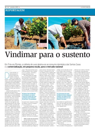 reportagem
www.ump.pt16 vm outubro 2010
urante Outubro, as
mãos pintaram-se
de tons rubros para
recolher os frutos da
videira e do trabalho do
homem. Numa região produtora de
vinhos, este néctar sempre garantiu
a subsistência de muitas famílias.
Assim, também as Santas Casas de
Macedo de Cavaleiros e Valpaços
apostaram no cultivo da vinha e na
produção de vinhos que honrem a
qualidade.
Quando decidiu plantar vinha,
o provedor da Santa Casa de
Macedo de Cavaleiros, Castanheira
Pinto, pensou na sustentabilidade
da instituição. “Havia necessidade
de termos vinho para consumo
próprio e pensei já na sustenta-
bilidade futura com o desenvol-
vimento do casal agrícola, onde
agora produzimos de tudo, desde
a batata ao feijão, passando pelo
azeite.” A comercialização iniciou-
se em 2003. “Temos tinto e branco,
com castas nobres: as tourigas
nacional e franca, a Tinta Roriz;
nos brancos, temos cá o Alvarinho
e a Malvasia branca. Vinificamos
separadamente e fazemos o lote
das castas”, relatava o provedor.
À lista acrescenta-se ainda a
produção de espumante, que foi
distinguido, em 2004, com uma
medalha de ouro num concurso
mundial. De dois em dois anos,
são produzidas entre 1500 a 2000
garrafas, cujo preço ronda os seis
Patrícia Posse
D
Vindimar para o sustento
Em Trás-os-Montes, a colheita de uvas destina-se ao consumo doméstico das Santas Casas
e à comercialização, em pequena escala, para o mercado nacional
euros. “Têm notas de frutos secos,
bolha persistente e fina e rondam
os 11,5 a 12 graus”, desvenda o
enólogo Fernando Guerra.
Os vinhos Quinta do Lombo
têm uma produção anual média
de 20 mil litros “de qualidade”.
“O tinto topo de gama é o mais
produzido, tem os aromas típicos
dos frutos vermelhos, 13 graus de
álcool e é bastante encorpado. O
branco tem aromas frutados, com
muitas notas florais e acidez equili-
brada. Este ano, está pela primeira
vez no mercado.” As 1600 garrafas
de branco vão ter um preço médio
de quatro euros, enquanto os tintos
de colheita e reserva se vendem a
7,5 e os correntes a 4.
O mercado consumidor é prin-
cipalmente local, com vendas para
restaurantes e particulares. “Como
a produção ainda não é muito
grande, normalmente vêm-nos pro-
curar a casa”, diz Fernando Guerra,
depois de augurar um “ano dos
melhores” em termos de qualidade.
Todas as mãos são necessárias
Os cinco hectares de vinha,
distribuídos pela zona do Lombo
e Cortiços, ficam a cargo dos 15
funcionários agrícolas, que por esta
altura são ajudados por colegas de
outros serviços. Fernanda Cepeda,
56 anos, é costureira no lar, mas
nas vindimas, troca as agulhas pela
tesoura de podar. “É um trabalho
diferente. A gente alivia a cabeça e
o convívio com os colegas é bom.”
E também aqui não se pode dar
ponto sem nó: “temos que ter cui-
dado para não deixar cair as uvas
ao chão, porque se os bagos caem
não vão para o vinho”. “É tentar
aproveitar ao máximo”, frisa.
Daniel Augusto Arratel vem
vindimar todos os anos, sempre
munido com uma ferramenta
atípica: uma faca com ponta arre-
dondada. “Trouxe-a de Espanha há
uns 16 anos. Já cortou muitas uvas
e continua a cortar.” Além de evitar
cortes nos dedos, tem outra van-
tagem: “é raro avariar”. “O melaço
da uva apanha a mola da tesoura
e não a deixa abrir ou fechar ou a
mola por vezes salta, com isto é só
andar”, explica o sexagenário.
Em Lombo, a 20 km de Ma-
cedo de Cavaleiros, a jornada de
trabalho arranca às 7h, com pausa
a meio da manhã para aconche-
gar o estômago com o fumeiro
transmontano, o pão e o queijo.
Sempre aos pares, os vindimadores
dizimam as cepas e colocam as
uvas em caixas de plástico, que
serão transportadas para a adega
da Quinta do Lombo. “Vêm em cai-
xas, porque as condições higiénicas
e de saúde para as uvas são as
melhores. As uvas não fazem tanto
peso umas em cima das outras,
evitando macerações”, justifica o
enólogo. Aí são colocadas no tape-
te de escolha, onde se retiram os
bagos podres, os secos e as folhas.
“Depois de esmagadas, se for bran-
co vai directamente à prensa, se for
tinto ou vai para o lagar ou para a
cuba, depende da casta.”
Às vindimas está também
associado um ritual religioso que
precede o corte, com a “bênção
dos frutos novos”, e culmina com
uma missa na adega. “Coroamos a
vindima com a eucaristia, onde se
congregam todos os funcionários
para que, dessa forma, façamos
uma festa não só pela colheita,
mas também um agradecimento a
Deus, por tudo aquilo que temos e
fazemos”, diz o capelão da Santa
Casa, Eduardo Novo.
Em prol da autonomia
A Santa Casa de Valpaços
comercializa vinhos há uma dé-
cada pela necessidade de angariar
fundos para o financiamento das
diferentes respostas sociais. “Deve
ser política das instituições conse-
guir o maior número de receitas.
Procuramos ter autonomia para
sobreviver”, sustenta o provedor
Eugénio Morais.
Os 10 hectares de vinha ren-
dem, em média, 50 mil garrafas de
vinho por ano, sendo 2/3 de tinto.
“Actualmente comercializamos
mais os vinhos regionais do que os
correntes. Estes são praticamente
para consumo da casa, nomeada-
mente para a confecção dos enchi-
dos”, refere Luís Sousa, responsá-
vel pela produção vitícola.
Os vinhos são absorvidos,
sobretudo, pelo mercado regional,
embora haja já algumas vendas no
Porto e em Lisboa. “Neste momen-
to, há vinhos de alta qualidade
e, por conseguinte, estamos já a
pensar na exportação. Aqui ao
lado, em Espanha, já estão interes-
sados”, adianta o provedor. Este
ano, a produção de uma monocas-
ta, de Touriga Nacional, para um
lote de 10 mil garrafas, constitui a
principal novidade. “Este vinho irá
ser engarrafado e levará o primeiro
rótulo que tivemos na Santa Casa,
que se chama “O Franciscano”, em
homenagem ao padre Vítor Melí-
cias. Os nossos vinhos de reserva e
de qualidade terão sempre o rótulo
desse homem que muito fez pelas
Santas Casas, homenageando com
a figura dele as Misericórdias todas
de Portugal”, acrescenta.
Os vinhos em circulação foram
baptizados com os nomes de
Formigueira, Toca da Lebre e Sexta-
Feira 13. Este último foi lançado
recentemente em homenagem aos
consumidores fiéis de Montalegre,
cidade onde todas as sextas-feiras
13 são transformadas em eventos
de grande atractividade turística
daquela localidade.
Na Santa Casa de Macedo
de Cavaleiros, os vinhos
Quinta do Lombo têm uma
produção anual média de
20 mil litros “de qualidade”
Os 10 hectares de vinha
da Misericórdia de Valpaços
rendem, em média, 50 mil
garrafas de vinho por ano,
sendo 2/3 de tinto
Vinhas começaram
com intenção de
sustentabilidade
 