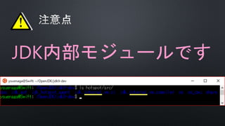 JDK内部モジュールです
 