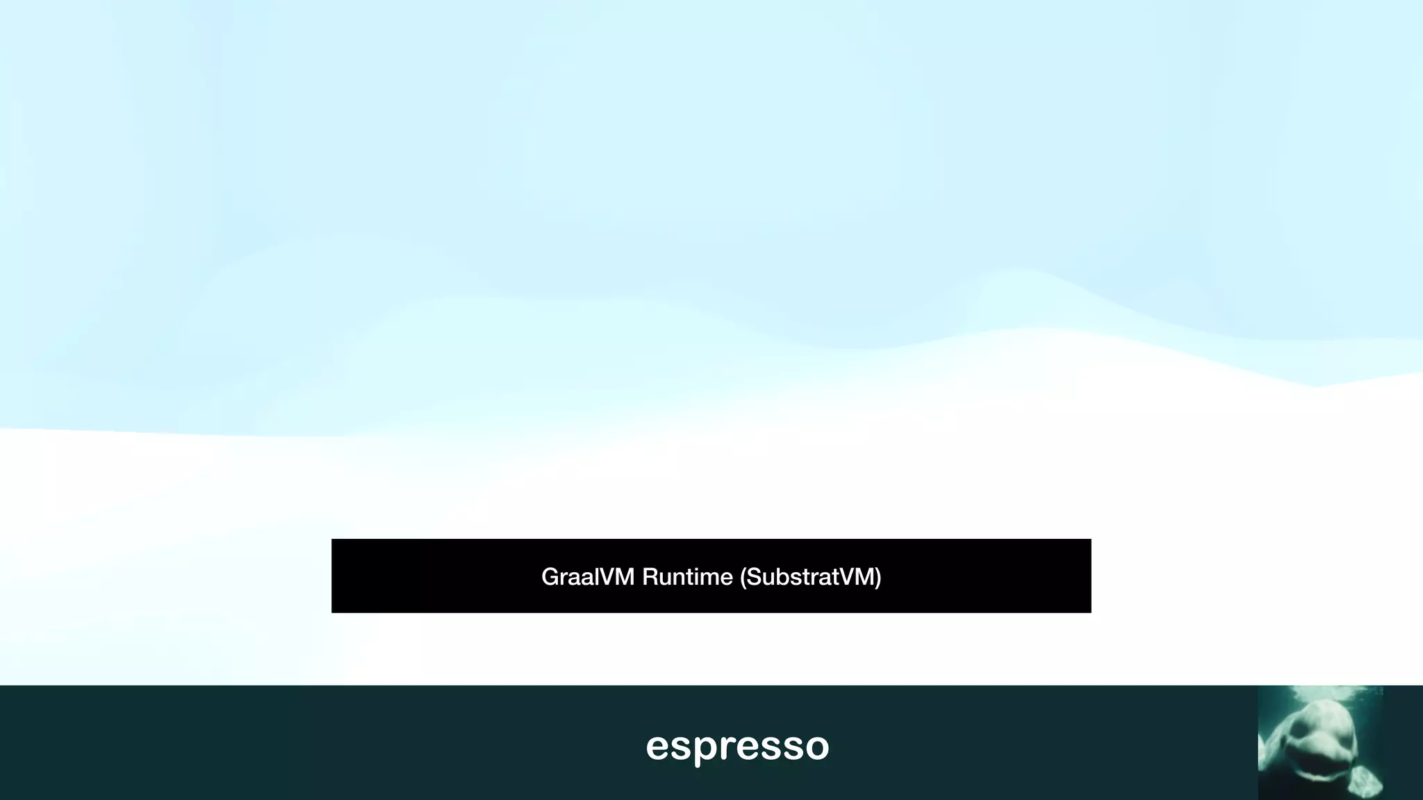 espresso
GraalVM Runtime (SubstratVM)
 
