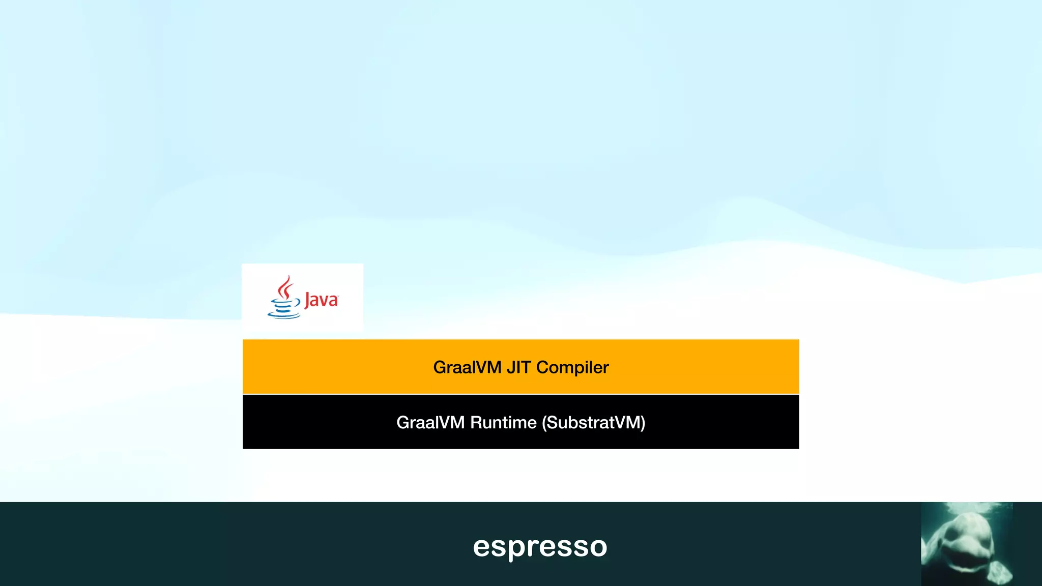 espresso
GraalVM JIT Compiler
GraalVM Runtime (SubstratVM)
 