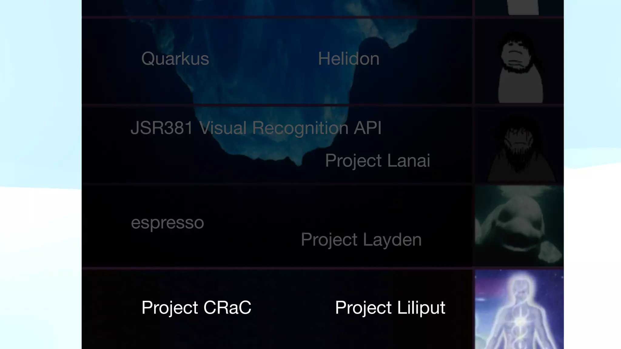 Quarkus Helidon
JSR381 Visual Recognition API
Project Lanai
espresso
Project Layden
Project CRaC Project Liliput
 