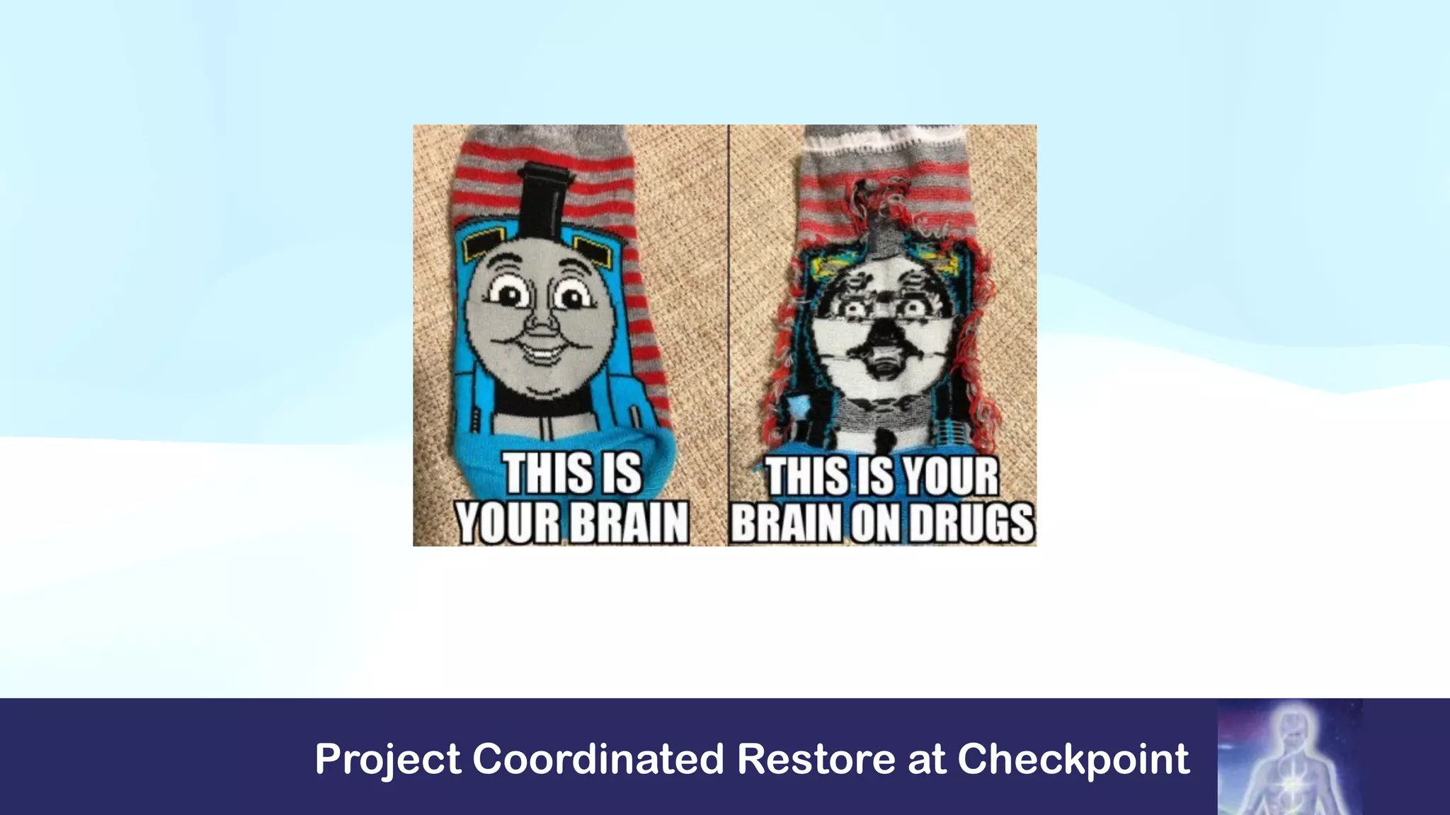 Project Coordinated Restore at Checkpoint
 