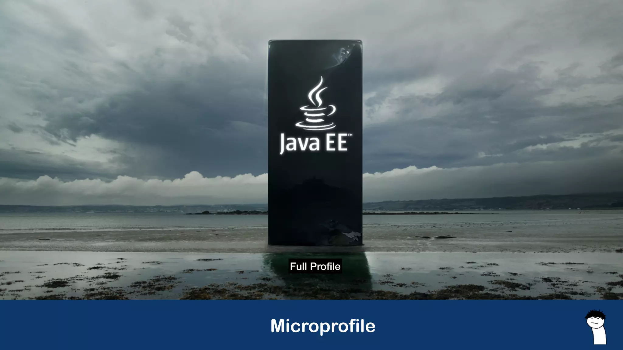 Microprofile
Full Pro
fi
le
 