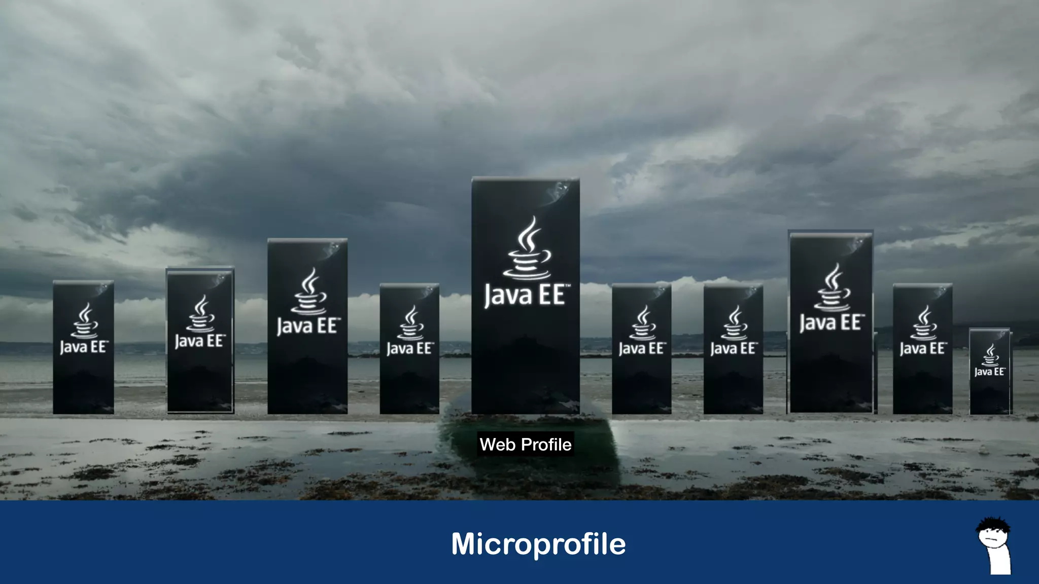 Microprofile
Web Pro
fi
le
 