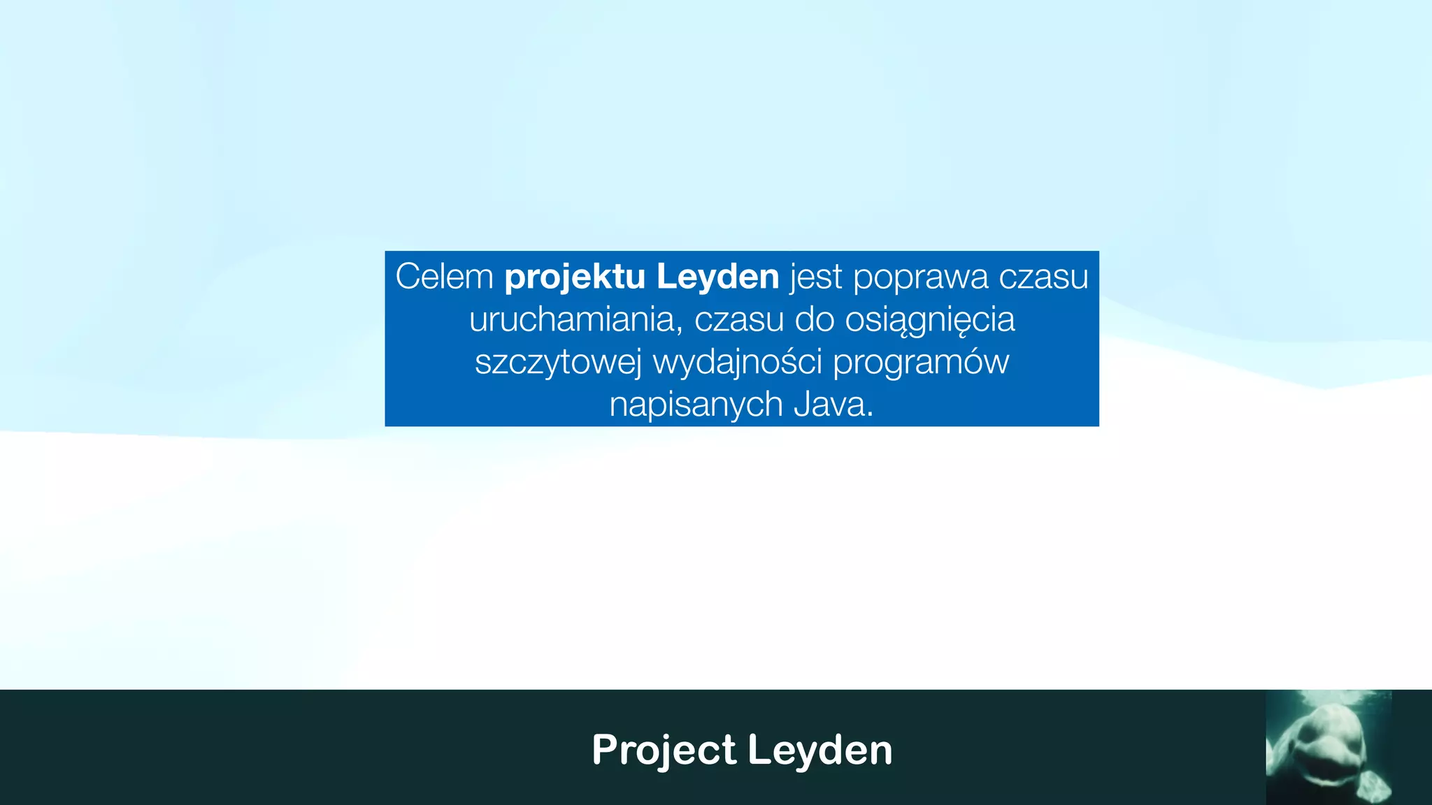 Project Leyden
Celem projektu Leyden jest poprawa czasu
uruchamiania, czasu do osiągnięcia
szczytowej wydajności programów
napisanych Java.
 