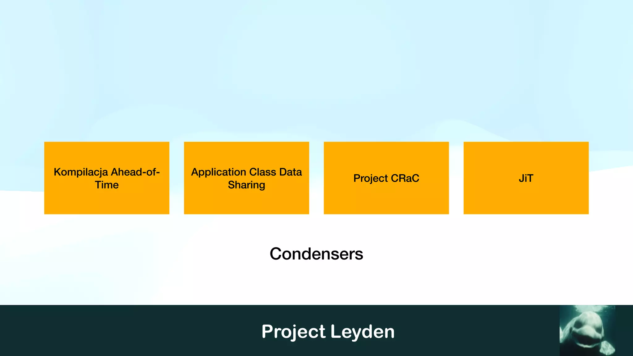 Project Leyden
Kompilacja Ahead-of-
Time
Application Class Data
Sharing
JiT
Project CRaC
Condensers
 