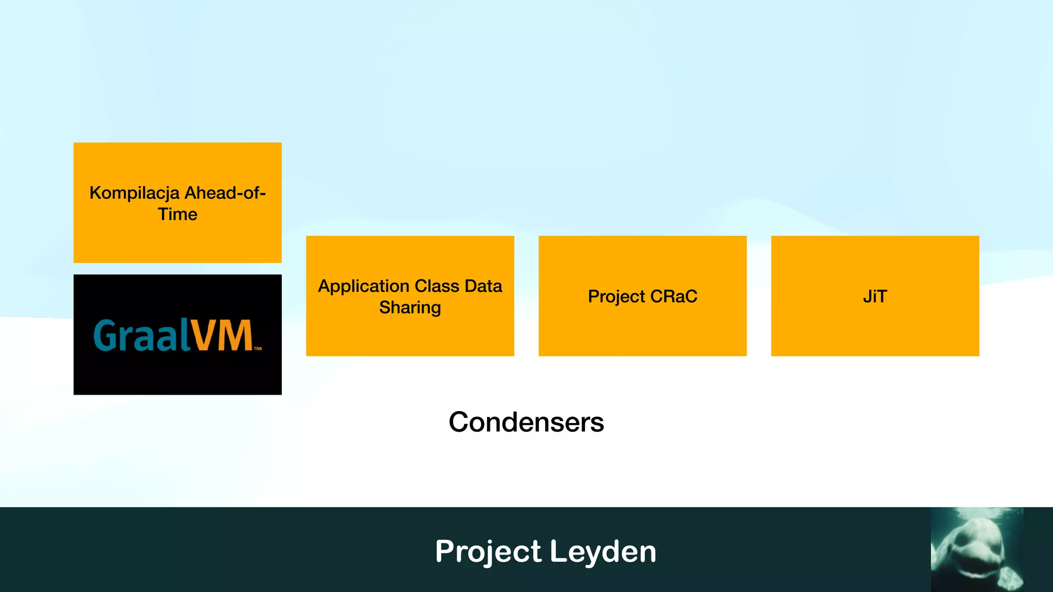 Project Leyden
Kompilacja Ahead-of-
Time
Application Class Data
Sharing
JiT
Project CRaC
Condensers
 