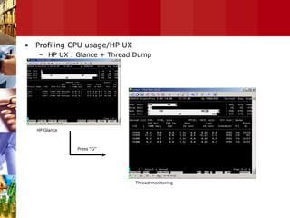 Profiling CPU usage/HP UX HP UX : Glance + Thread Dump HP Glance Press “G” Thread monitoring  