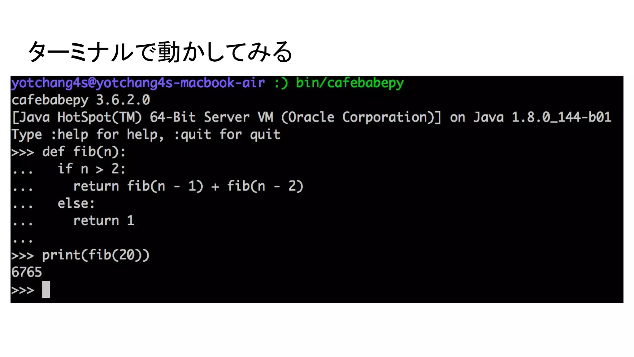 ターミナルで動かしてみる
 