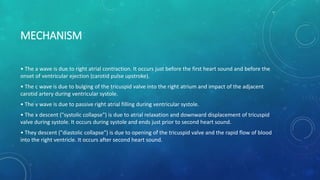 MECHANISM
• The a wave is due to right atrial contraction. It occurs just before the first heart sound and before the
onset of ventricular ejection (carotid pulse upstroke).
• The c wave is due to bulging of the tricuspid valve into the right atrium and impact of the adjacent
carotid artery during ventricular systole.
• The v wave is due to passive right atrial filling during ventricular systole.
• The x descent ("systolic collapse") is due to atrial relaxation and downward displacement of tricuspid
valve during systole. It occurs during systole and ends just prior to second heart sound.
• They descent ("diastolic collapse") is due to opening of the tricuspid valve and the rapid flow of blood
into the right ventricle. It occurs after second heart sound.
 