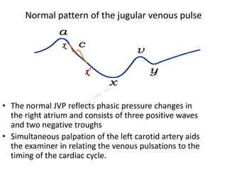 Normal pattern of the jugular venous pulse
• The normal JVP reflects phasic pressure changes in
the right atrium and consists of three positive waves
and two negative troughs
• Simultaneous palpation of the left carotid artery aids
the examiner in relating the venous pulsations to the
timing of the cardiac cycle.
 