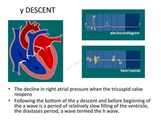 y DESCENT
• The decline in right atrial pressure when the tricuspid valve
reopens
• Following the bottom of the y descent and before beginning of
the a wave is a period of relatively slow filling of the ventricle,
the diastases period, a wave termed the h wave.
 