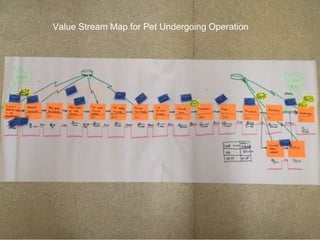 3
5
Value Stream Map for Pet Undergoing Operation
 