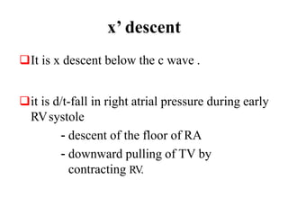 x’ descent
It is x descent below the c wave .
it is d/t-fall in right atrial pressure during early
RVsystole
- descent of the floor of RA
- downward pulling of TV by
contracting RV.
 