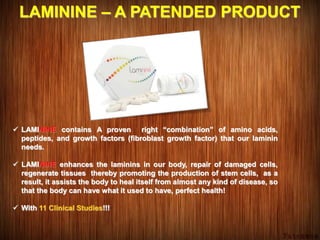 LAMININE – A PATENDED PRODUCT
 LAMININE contains A proven right “combination” of amino acids,
peptides, and growth factors (fibroblast growth factor) that our laminin
needs.
 LAMININE enhances the laminins in our body, repair of damaged cells,
regenerate tissues thereby promoting the production of stem cells, as a
result, it assists the body to heal itself from almost any kind of disease, so
that the body can have what it used to have, perfect health!
 With 11 Clinical Studies!!!
 