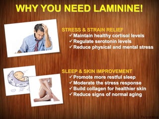 WHY YOU NEED LAMININE!
STRESS & STRAIN RELIEF
Maintain healthy cortisol levels
Regulate serotonin levels
Reduce physical and mental stress
SLEEP & SKIN IMPROVEMENT
Promote more restful sleep
Moderate the stress response
Build collagen for healthier skin
Reduce signs of normal aging
 