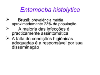 Entamoeba histolytica 
 Brasil: prevalência média 
aproximadamente 23% da população 
 A maioria das infecções é 
practicamente assintomática 
 A falta de condições higiênicas 
adequadas é a responsável por sua 
disseminação 
 