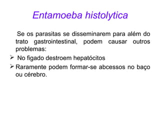 Entamoeba histolytica 
Se os parasitas se disseminarem para além do 
trato gastrointestinal, podem causar outros 
problemas: 
 No figado destroem hepatócitos 
Raramente podem formar-se abcessos no baço 
ou cérebro. 
 