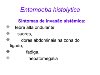 Entamoeba histolytica 
Sintomas de invasão sistémica: 
 febre alta ondulante, 
 suores, 
 dores abdominais na zona do 
figado, 
 fadiga, 
 hepatomegalia 
 