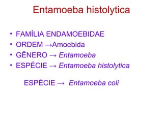 Entamoeba histolytica 
• FAMÍLIA ENDAMOEBIDAE 
• ORDEM →Amoebida 
• GÊNERO → Entamoeba 
• ESPÉCIE → Entamoeba histolytica 
ESPÉCIE → Entamoeba coli 
 