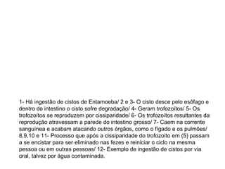 1- Há ingestão de cistos de Entamoeba/ 2 e 3- O cisto desce pelo esôfago e 
dentro do intestino o cisto sofre degradação/ 4- Geram trofozoítos/ 5- Os 
trofozoítos se reproduzem por cissiparidade/ 6- Os trofozoítos resultantes da 
reprodução atravessam a parede do intestino grosso/ 7- Caem na corrente 
sanguínea e acabam atacando outros órgãos, como o fígado e os pulmões/ 
8,9,10 e 11- Processo que após a cissiparidade do trofozoíto em (5) passam 
a se encistar para ser eliminado nas fezes e reiniciar o ciclo na mesma 
pessoa ou em outras pessoas/ 12- Exemplo de ingestão de cistos por via 
oral, talvez por água contaminada. 
 