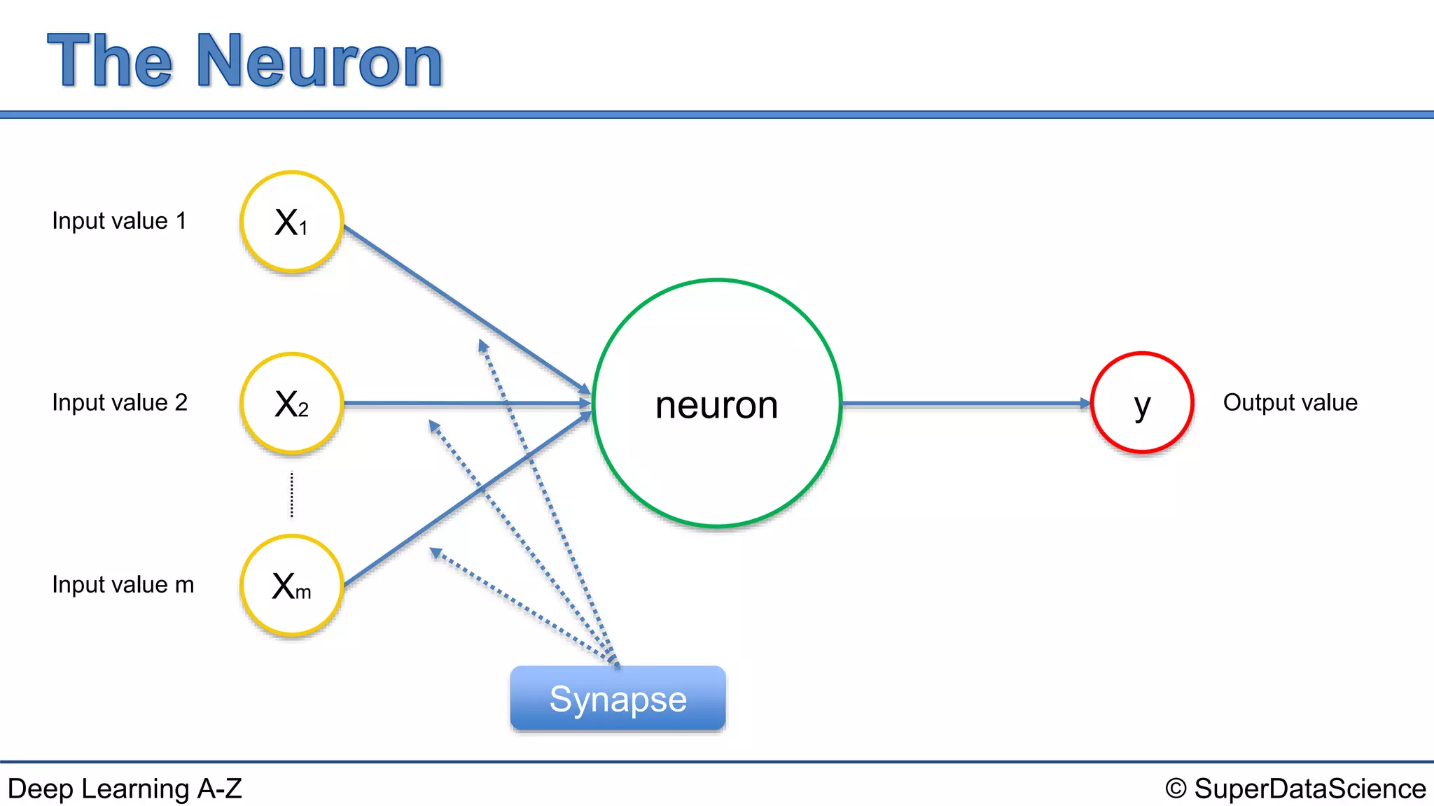 © SuperDataScienceDeep Learning A-Z
neuron
Input value 1
Input value 2
Input value m
X1
X2
Xm
y Output value
Synapse
 