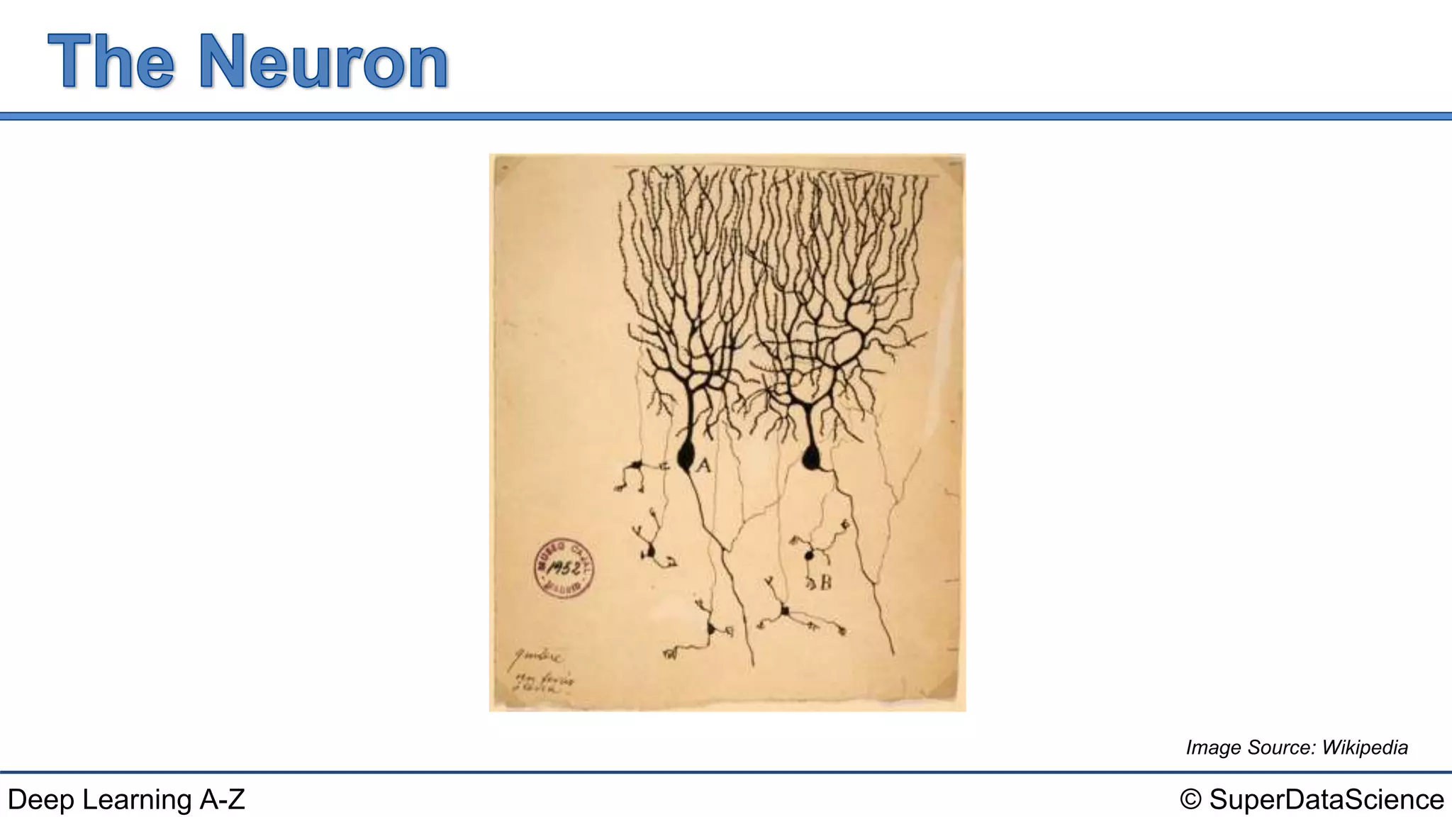 Deep Learning A-Z™: Artificial Neural Networks (ANN) - The Neuron | PPTX