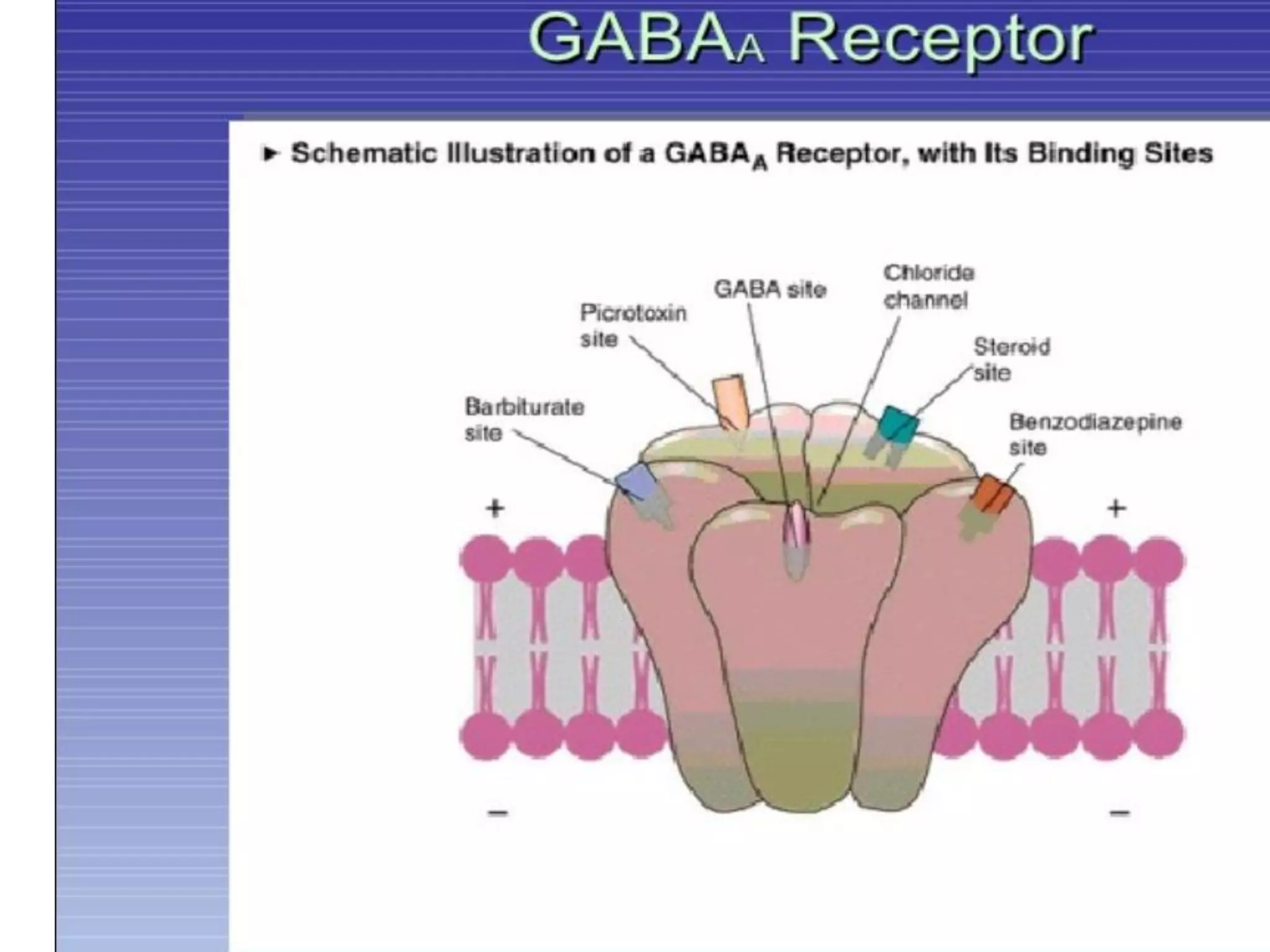Status epilepticus and treatment