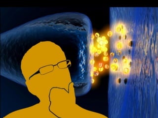 Status epilepticus and treatment