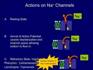 Status epilepticus and treatment