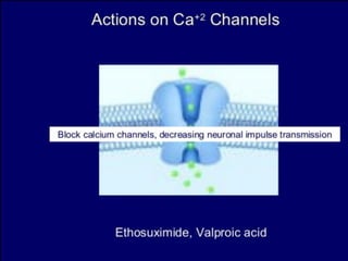 Status epilepticus and treatment
