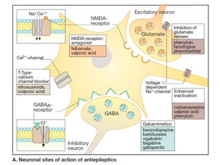 Status epilepticus and treatment